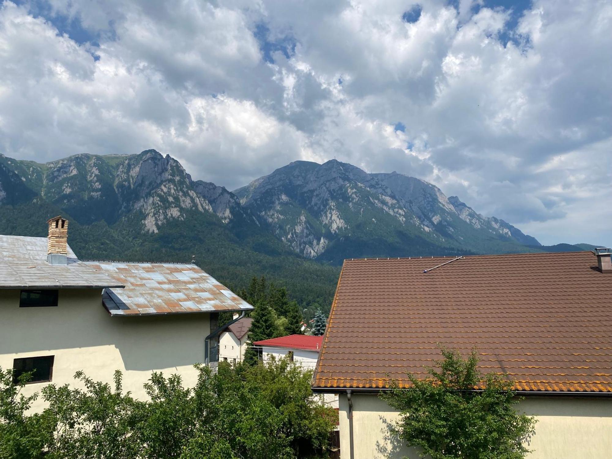 Vila Maris Buşteni Exterior foto